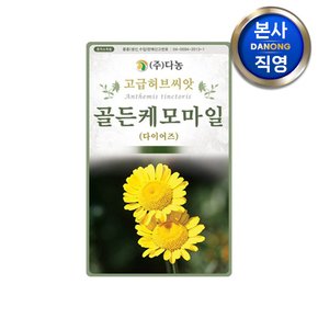 골든 케모마일 씨앗 1g . 다이어즈 캐모 카모 마일 베란다 텃밭 허브 꽃씨 종자