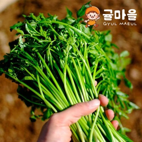 추가1이미지