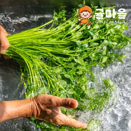 추가5이미지