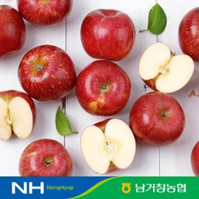 [유명산지] 아삭달콤한 거창 꿀사과 못난이사과 5kg(중과)17-23과 내외