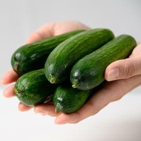 [맛꾼] 국내산 아삭한 수분가득 스낵오이 미니오이 2kg