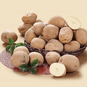 국내산 감자(특) 2kg[33916136]