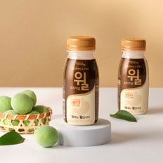 헬리코박터 프로젝트 윌 에코 오리지날 180ml 10개