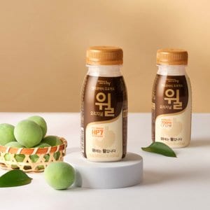  헬리코박터 프로젝트 윌 에코 오리지날 180ml 10개