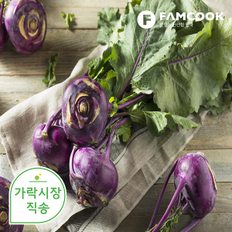 팸쿡 가락시장직송 콜라비 1개