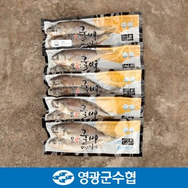 영광군수협 [냉동][영광군수협]법성포 영광 진공 굴비 세트 1.4kg(20미) / 700g*2팩