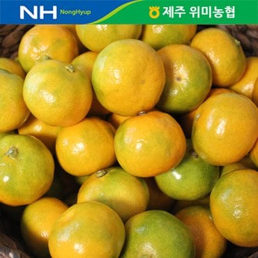  제주 위미농협 하우스감귤 5kg(40-50과)/문주왕