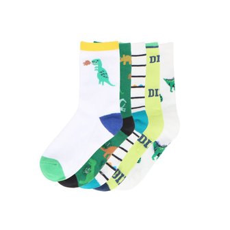토박스 [부산점] 다이노 남아 공룡 양말 세트(5pack) TBKCFNTASC21