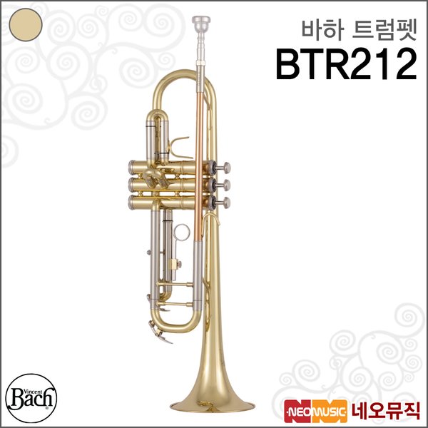 확대된 대표 대표이미지