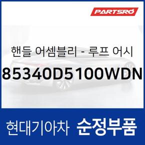 실내 천장 손잡이 (루프 어시스트 핸들) 앞좌석,조수석쪽 (85340D5100WDN) 디 올 뉴 투싼 현대모비스부품몰