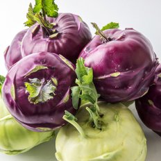산해직송 국내 콜라비 특품 2kg