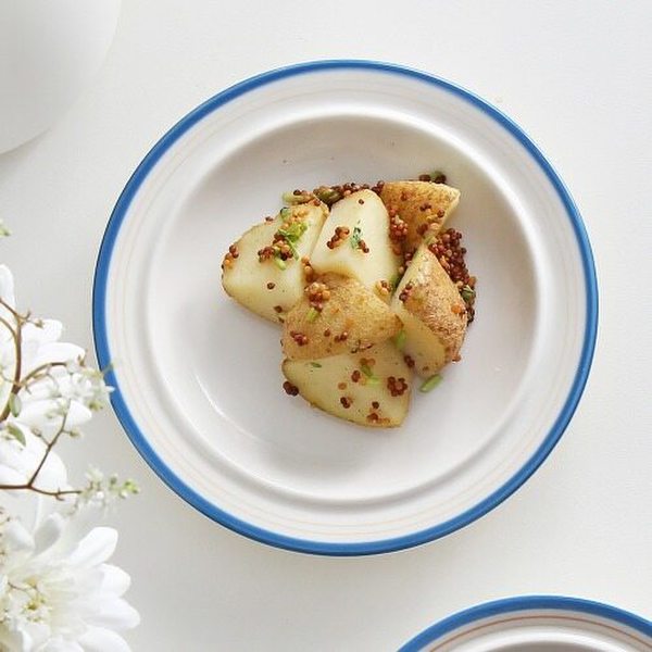 메이플 브레드 6인치 접시 15cm 4종 (택1)