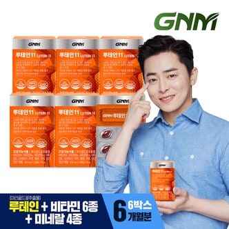 GNM자연의품격 루테인11 6박스 / 비타민 6종 + 미네랄 4종 눈건강 비타민B 아연 엽산