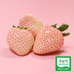 농부들의수확 [무농약인증]하얀 설화 딸기 500g(특/15구)