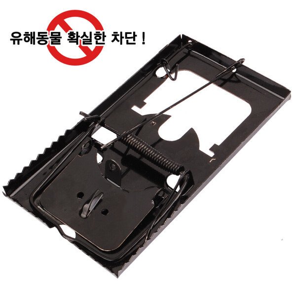 확대된 대표 상품이미지1