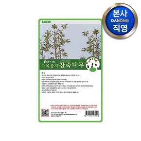 참죽 나무 씨앗 1kg . 수목 식물 씨 종자