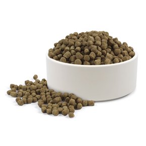 진도백서 강아지사료 10kg