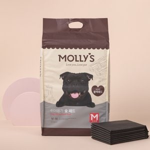 MOLLY'S 몰리스 숯 패드 M 80매