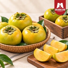 마녀바스켓 배처럼 아삭하고 달콤한 태추단감 1.5kg 대과 (개당 180g이상)