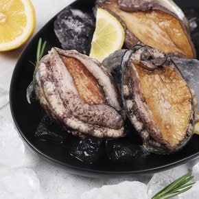 [산지직송]중사이즈 완도 활전복 500g(8-9미) 산소포장