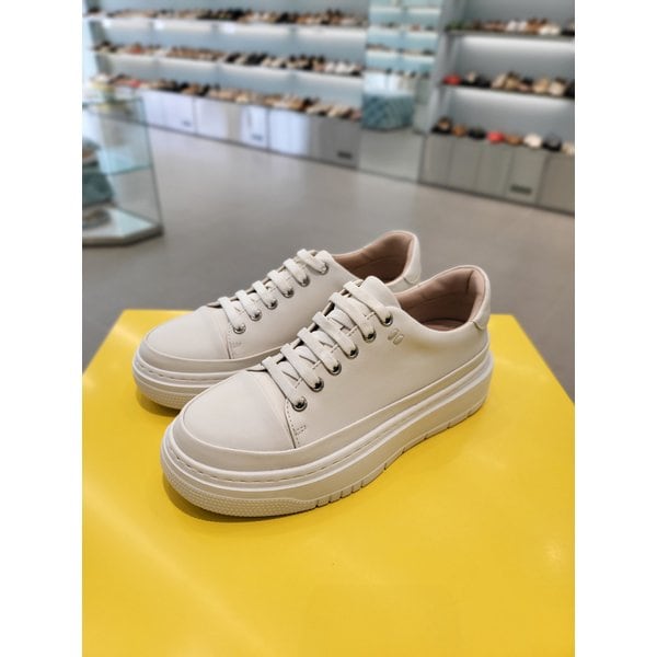 [여주점] 베이직 스니커즈 4CM C23W601[2컬러]