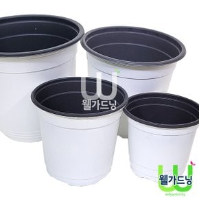 칼라포트 백색 GS100 -10CM - 모종심기 초화화분 이색포트 모종화분 이색화분 새싹화분 육묘화분