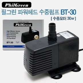 필그린 수중모터 BT-30 30W 수중펌프