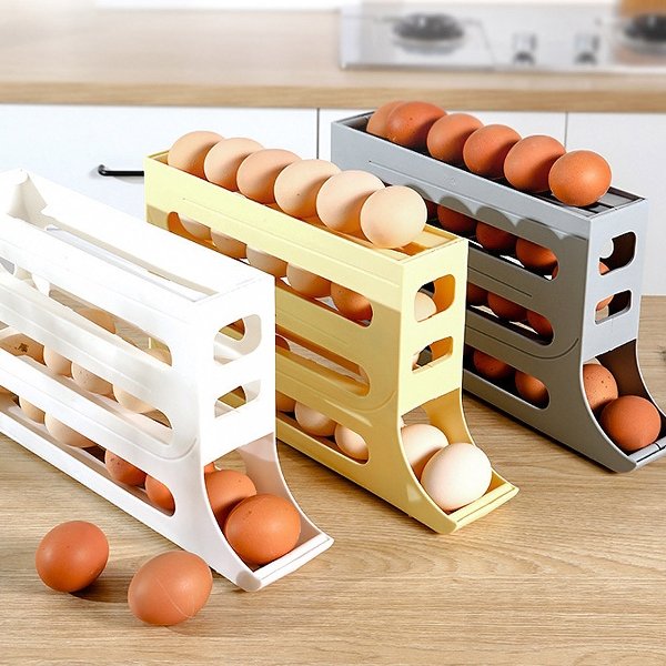확대된 대표 image1