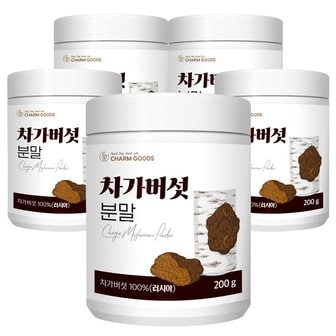 참굿즈 러시아산 차가버섯 분말 가루 200g 5통