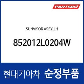 순정 선바이저(햇빛가리개), 운전석쪽 (852012L0204W) i30