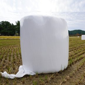 곤포사일리지 소여물 공룡알 말꼴