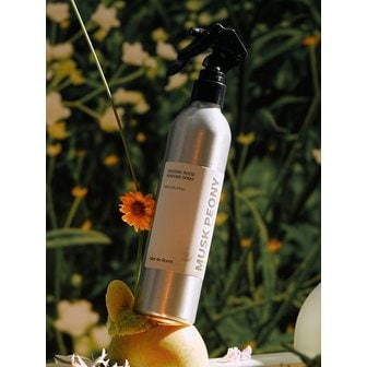 메르디센트 무드 퍼퓸 스프레이 300ml