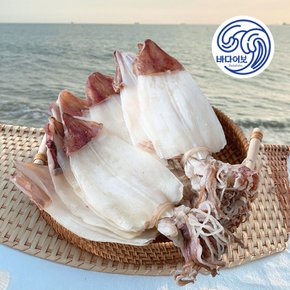 실속 마른 한치(대) 500g 7~10마리 무료배송 건어물 화살오징어