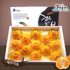 인정식탁 [올찬] 한라봉 선물세트(특대/대) 3kg(8~10과) / 제주직송 !!