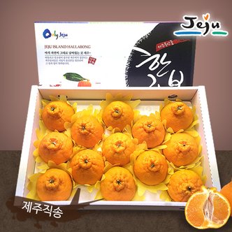 인정식탁 [올찬] 한라봉 선물세트(특대/대) 3kg(8~10과) / 제주직송 !!