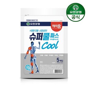 해피홈 슈퍼쿨파스 5매입