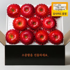 [산지직송] 홍로사과 3kg 중대과 선물세트(10-12입)