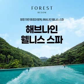 [제천] 해브나인 웰니스 스파 리솜 이용권 (3/1~6/30)