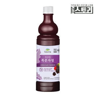 건강스토리 국내산 복분자청 엑기스 900ml