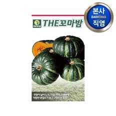 다농 THE 꼬마 밤호박 씨앗 5립 , 미니 단 호박 채소 텃밭 파종 재배 씨 종자,