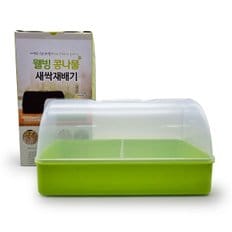  웰빙 콩나물 새싹재배기 수경재배기 싹틔우기 채소