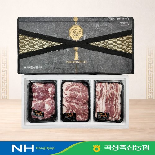 이미지 AP
