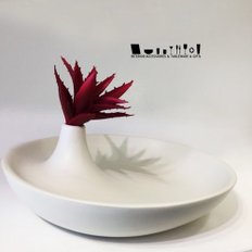 Oval Tray Vase 타원 접시 화병 M