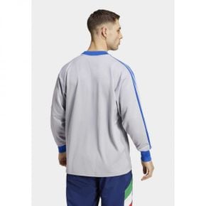 4237986 Adidas ITALY FIGC GK ICONJERSEY - Long sleeved top glory grey