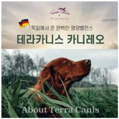 테라카니스 카니레오 치킨 1kg  - (독일에서온 완벽한 영양밸런스)