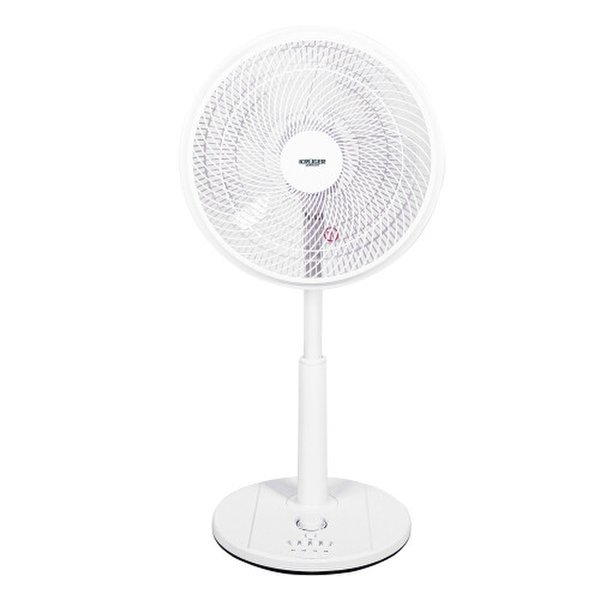 확대된 대표 상품이미지1