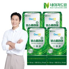 베오비 보스웰리아정 750mg x 30정 x 4박스