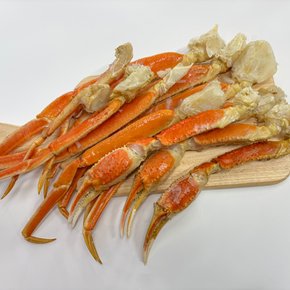 스노우크랩 대게 다리 러시아 마가단 자숙 급냉 게다리 섹션
