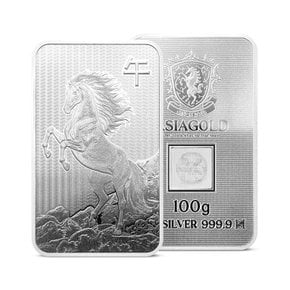 실버바 100g 말