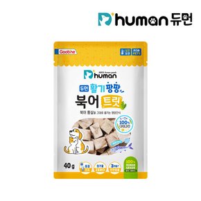 활기팡팡 북어트릿 40g 1팩 / 반려견간식 동결건조간식 노즈워크간식